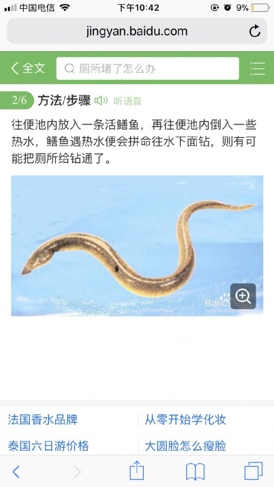 ��˵����