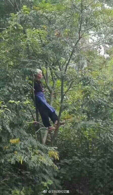 ��˵����