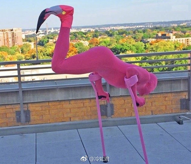 ��˵����