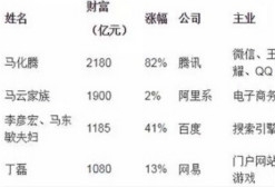 2017ITҵҰTOP10˶