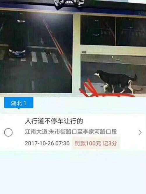 ��˵����