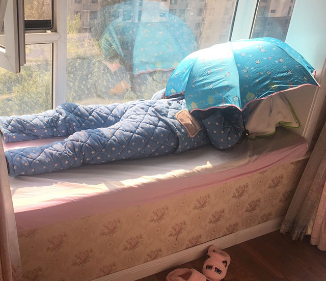 ��˵����