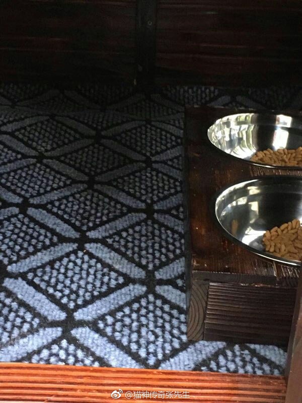 ��˵����