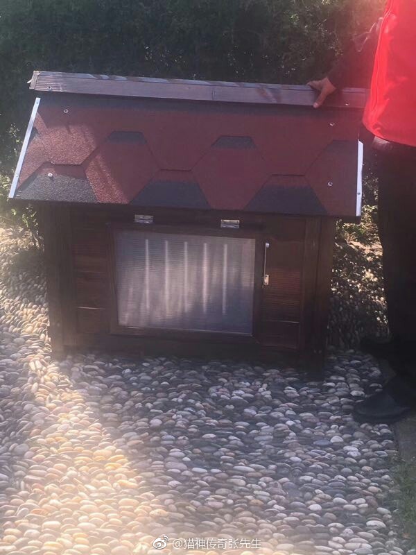 ��˵����