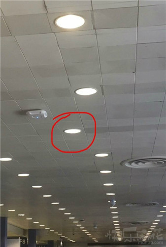 ��˵����