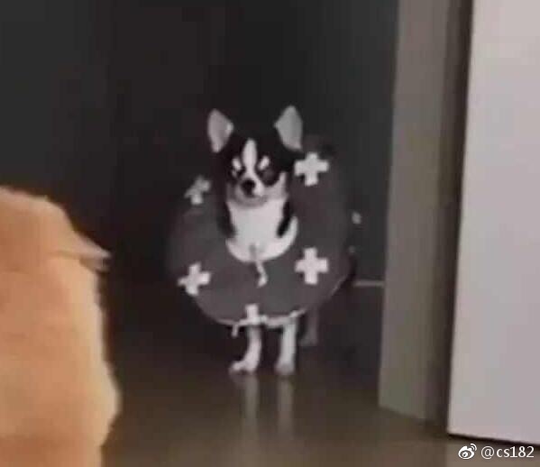 ��˵����