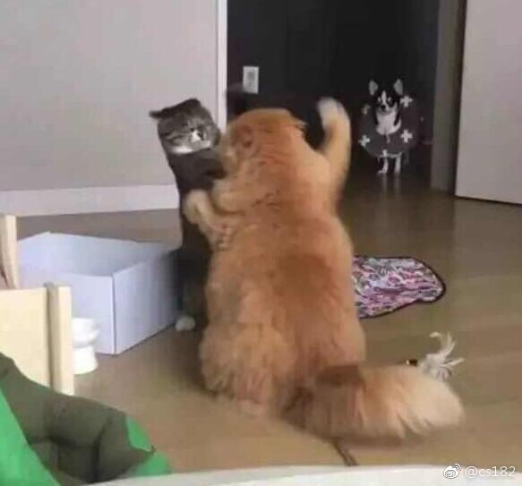 ��˵����