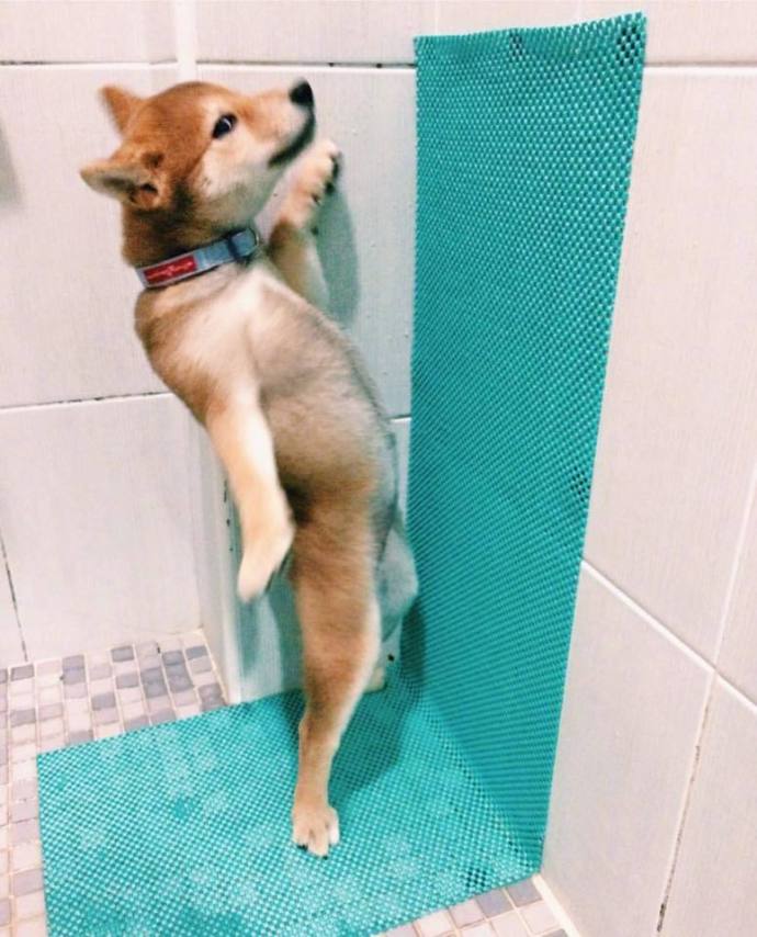 ��˵����