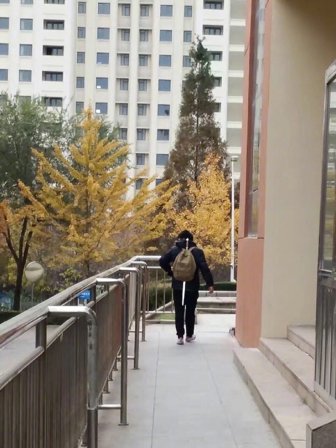 ��˵����