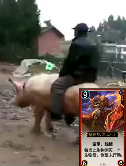 �����ϴ󹫡��������COS��ͬѧ�㻹����