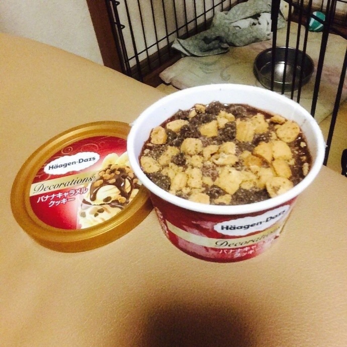 ��˵����