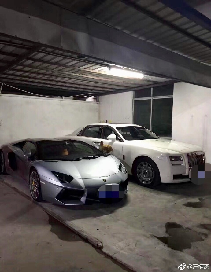 ��˵����