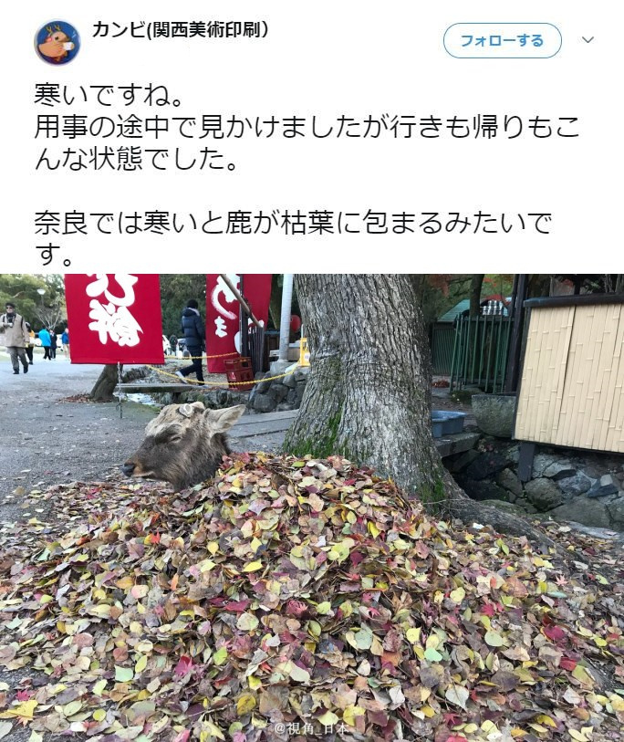 ��˵����