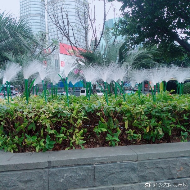 ��˵����