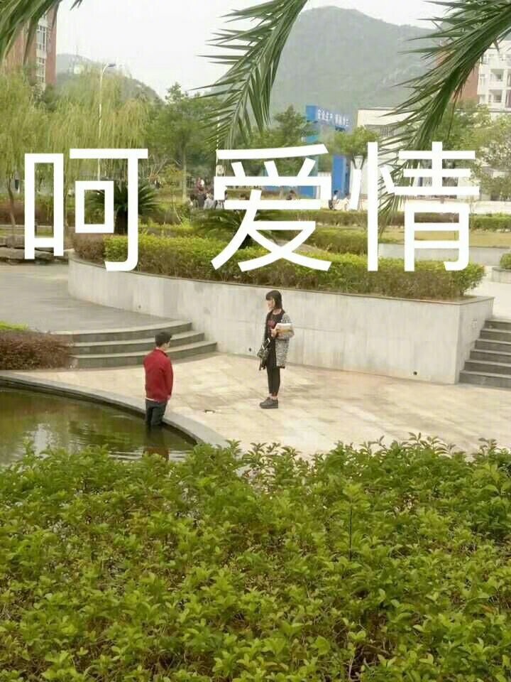 ��˵����