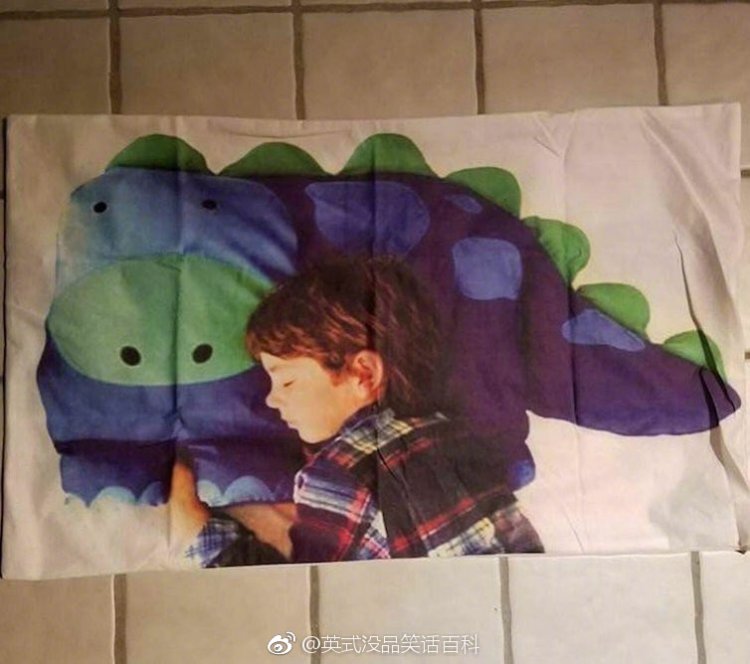 ��˵����