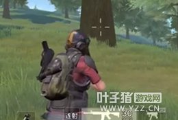 荒野行动哪种枪好用 狙击枪和步枪你选谁