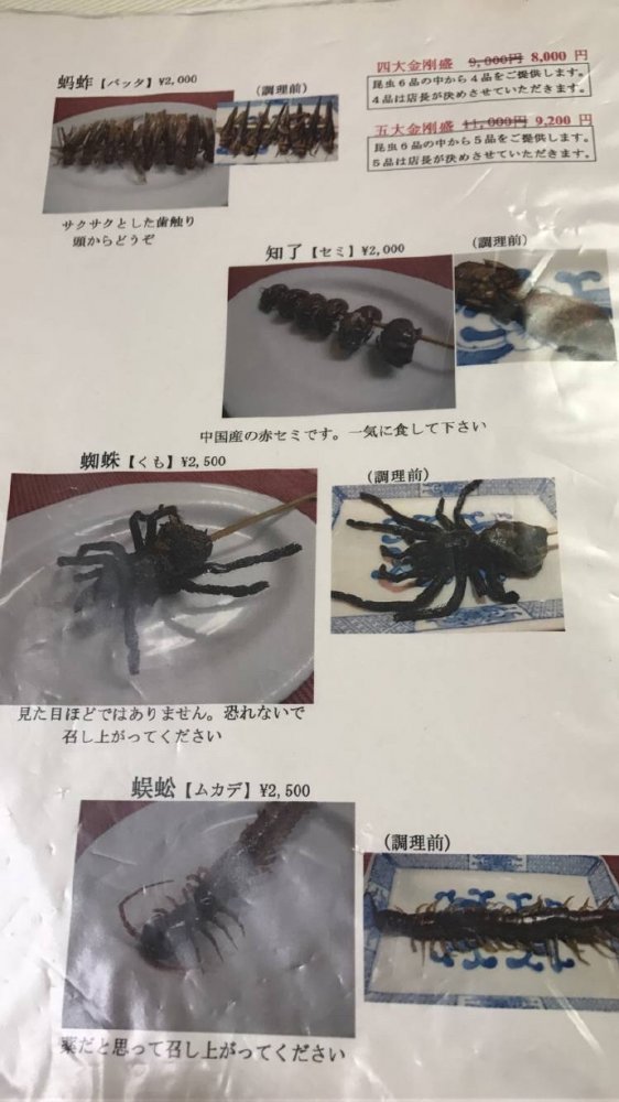 ��˵����