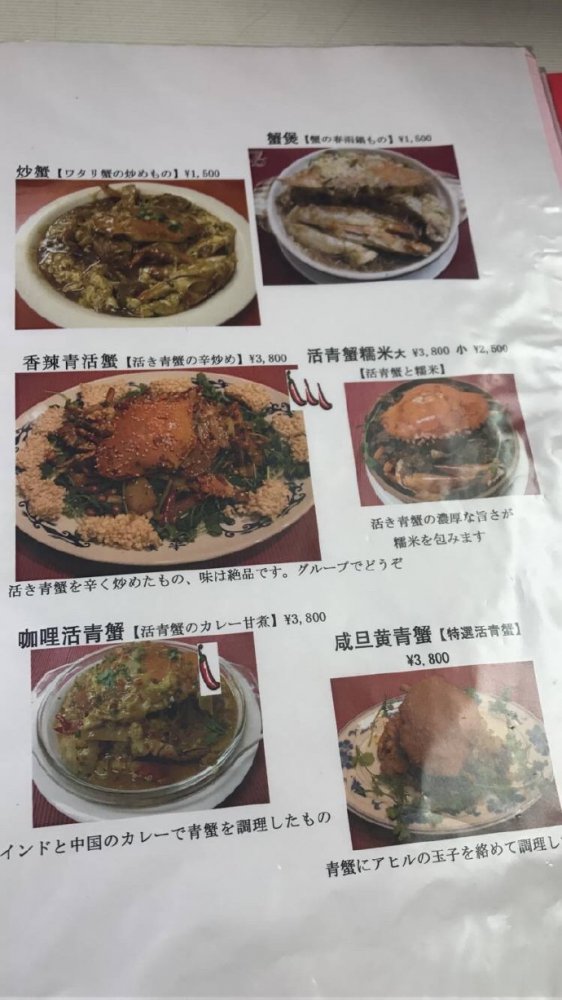 ��˵����