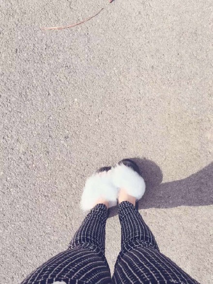 ��˵����