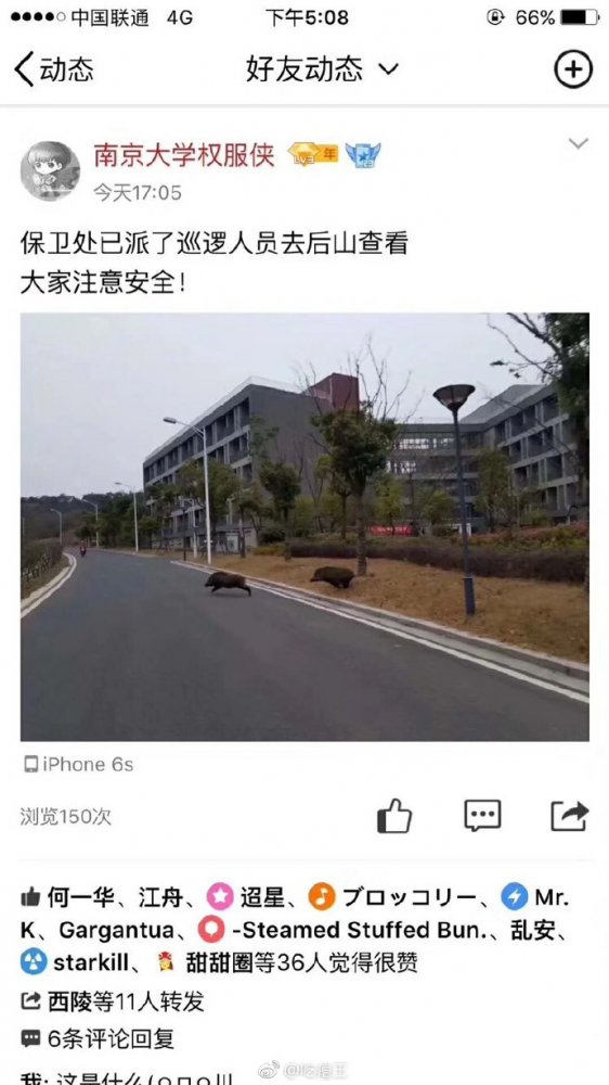 ��˵����