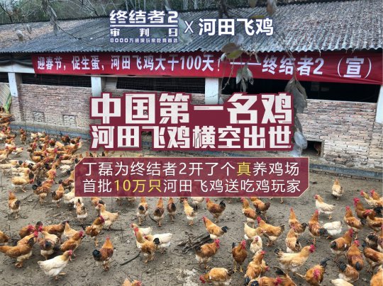 《终结者2》河田飞鸡养鸡场