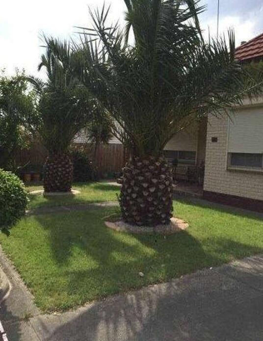 һ�����˿�������ͼ �����ڼ������̲�ס��