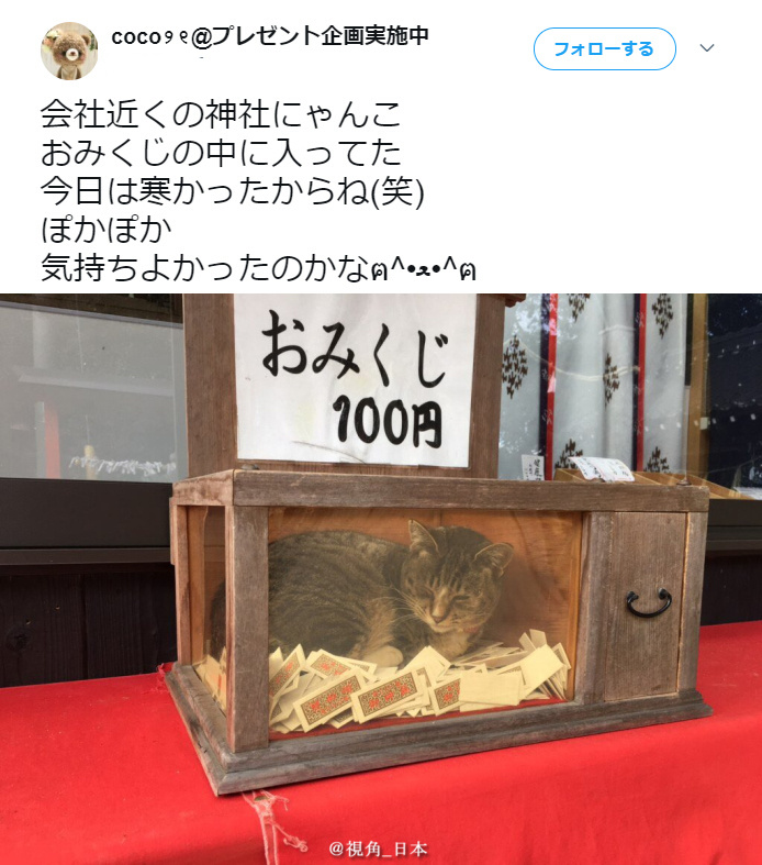 ��˵����