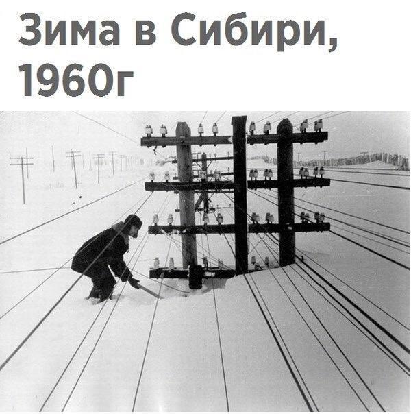 ��˵����