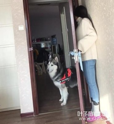 Ů���Ͳ����ź󣬿ɰ���˹��Ȯ��ôҲ�Ҳ���