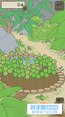 ����������Ҷ����ô�� ����������ô���ٻ����Ҷ��