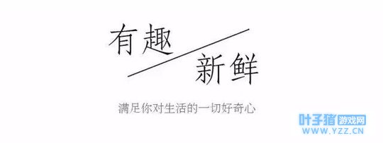 ���̣������ϲ����ķ�ϵ��װ�簡��