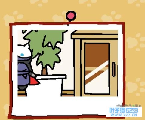 è���Ժ����è��ô��ã�����è��÷���;