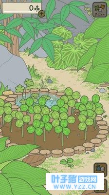 旅行青蛙护身符没有了怎么办?你可能需要看