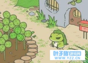 ���������ܡ������Ѱ��ף���ʵ�������ԭ��