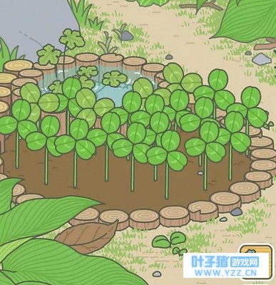 �ȳԼ�������������ܣ�Ӧ����ô�棿���ں�