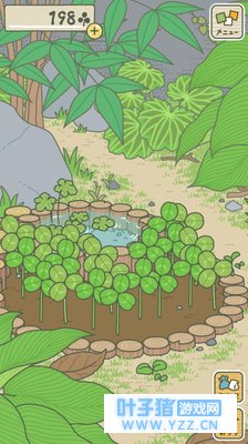 �ä����룺�ְֶԲ������㣬�ҵ��ɶ���