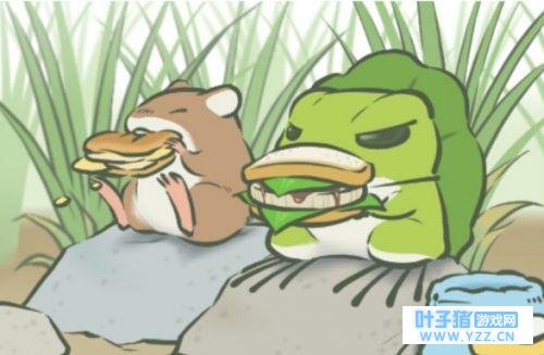 佛系养蛙有诀窍,爱蜂玩帮蛙赢在起跑线上