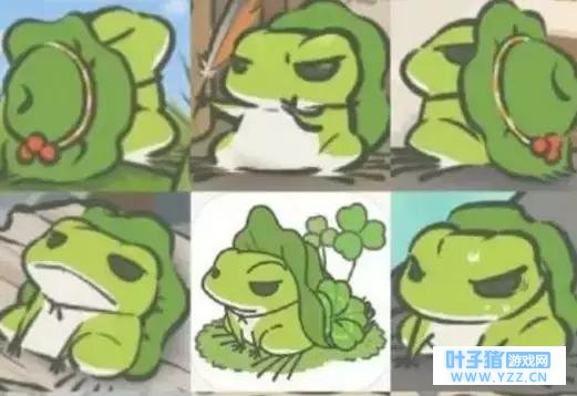 别再找你的蛙儿子了,它在澳洲!