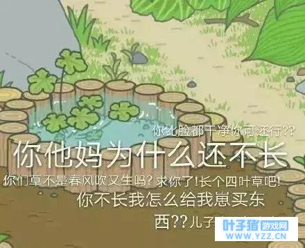 ���ɣ�����ܶ��ӿ��ܻز����ˡ���