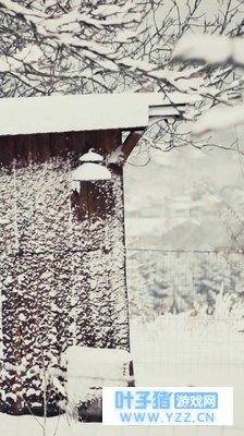 高清壁纸|我是一个北方人,但总是在手机上