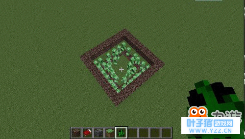 �ҵ��������ɳ������ô��? �������������