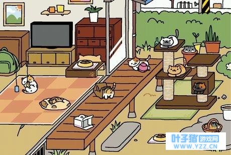 ���������ܡ���¶��������⣬������ô��