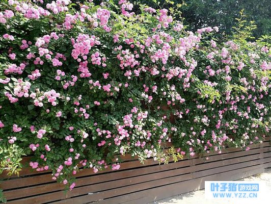 大大的世界,小小的梦想,努力去追寻自己想