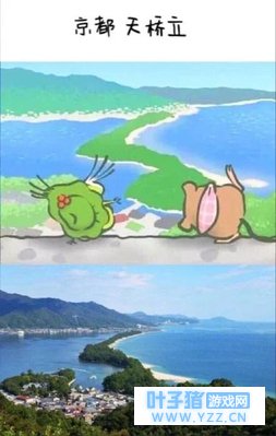 蛙蛙每次都去旅游,想不想看看蛙蛙去的去的