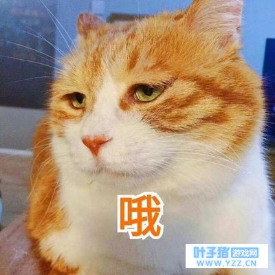 《我的世界》里最厉害的交通工具是什么? 有