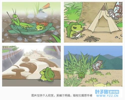 技术贴!如何让自己的蛙拍出完胜其它小伙伴