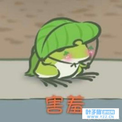 旅行青蛙给你的小tip请接收()
