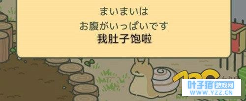 ���������ڶ����ʲôʱ����֣����ܺ�����