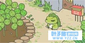 千万小心!你最爱的旅行青蛙其实暗藏隐患!
